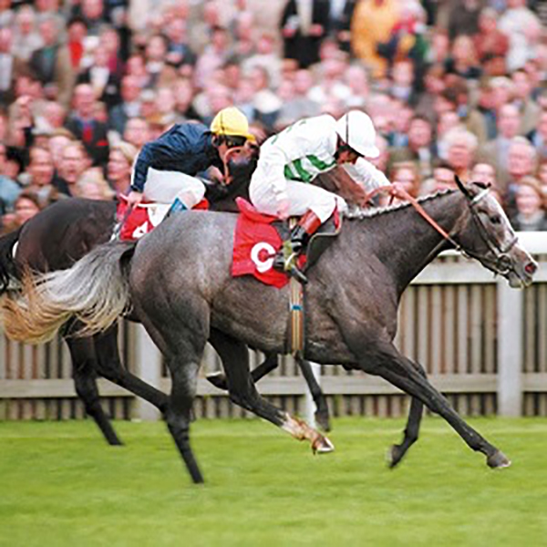 The Alborada Trust Thumbnail