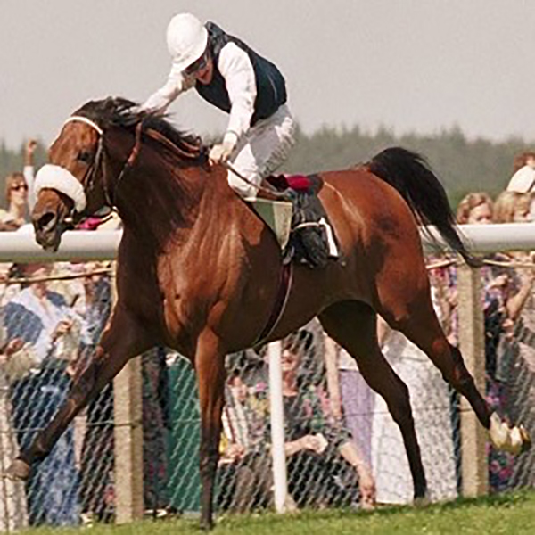 The John Pearce Foundation Thumbnail