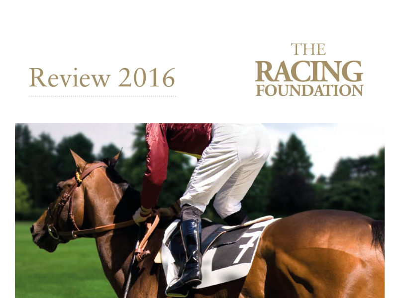 Annual Review 2016