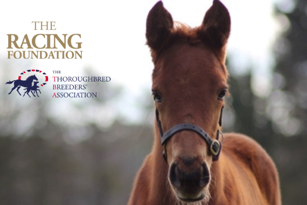 Over £360k in funding awarded to the Thoroughbred Breeders’ Association to support racing's people and horses