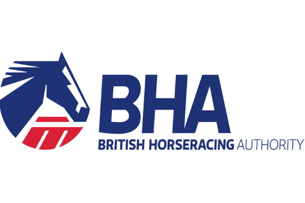 BHA recruit for two Diversity & Inclusion industry roles