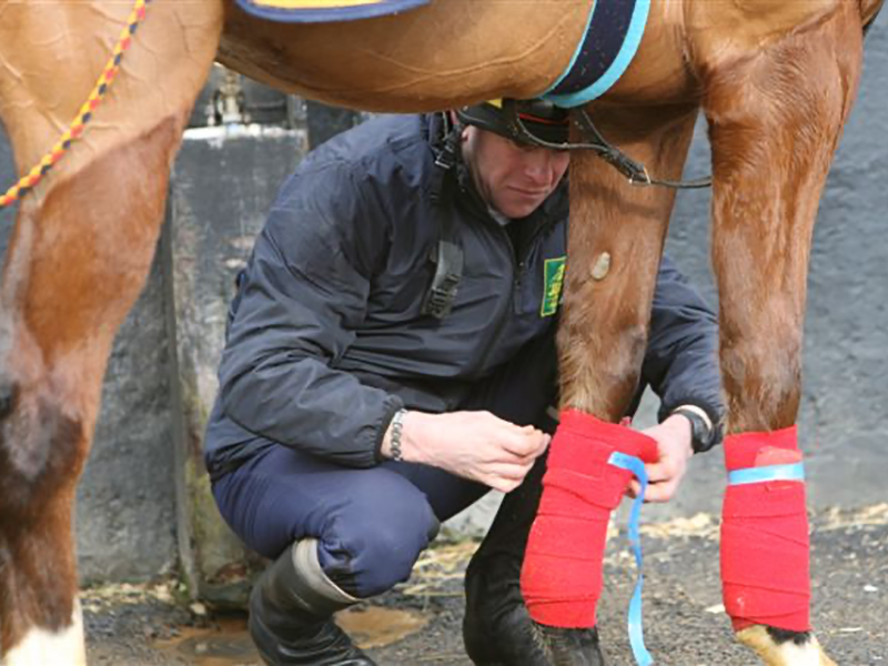 Racing Industry Recruitment Skills & Retention Research 2016 (Trainers and Stable Staff) - Full Report