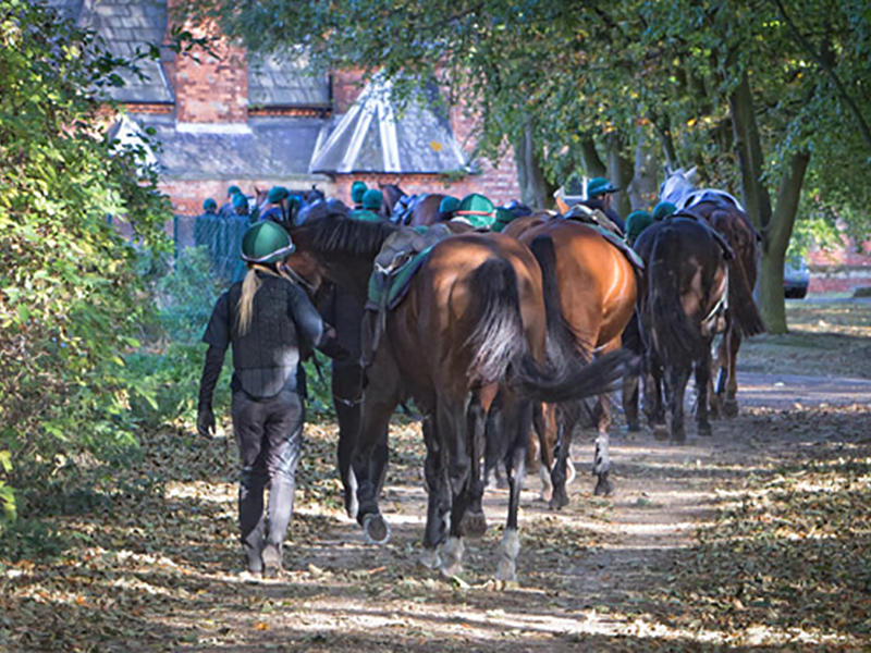 ‘A lifestyle rather than a job’  A review and recommendations on mental health support within the British horse racing industry.  Liverpool John Moores University and  Racing Welfare