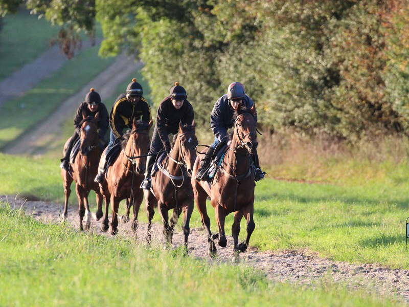 Racing Industry Recruitment Skills & Retention Research 2018 (Trainers and Stable Staff) - Full Report