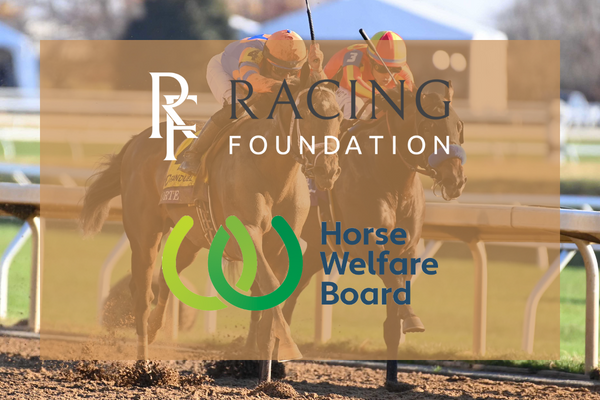 PRESS RELEASE: Racing Foundation grants £3million to Horse Welfare Board