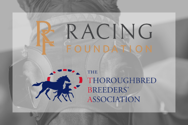 Racing Foundation-funded report into British breeding reveals sector adds £375m of gross value to the rural economy