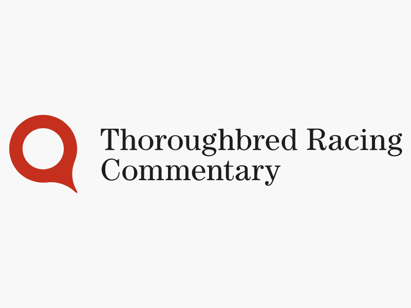 ‘It has to be a beacon for the British breeding industry’ – Anna Kerr offers breath of fresh air at National Stud